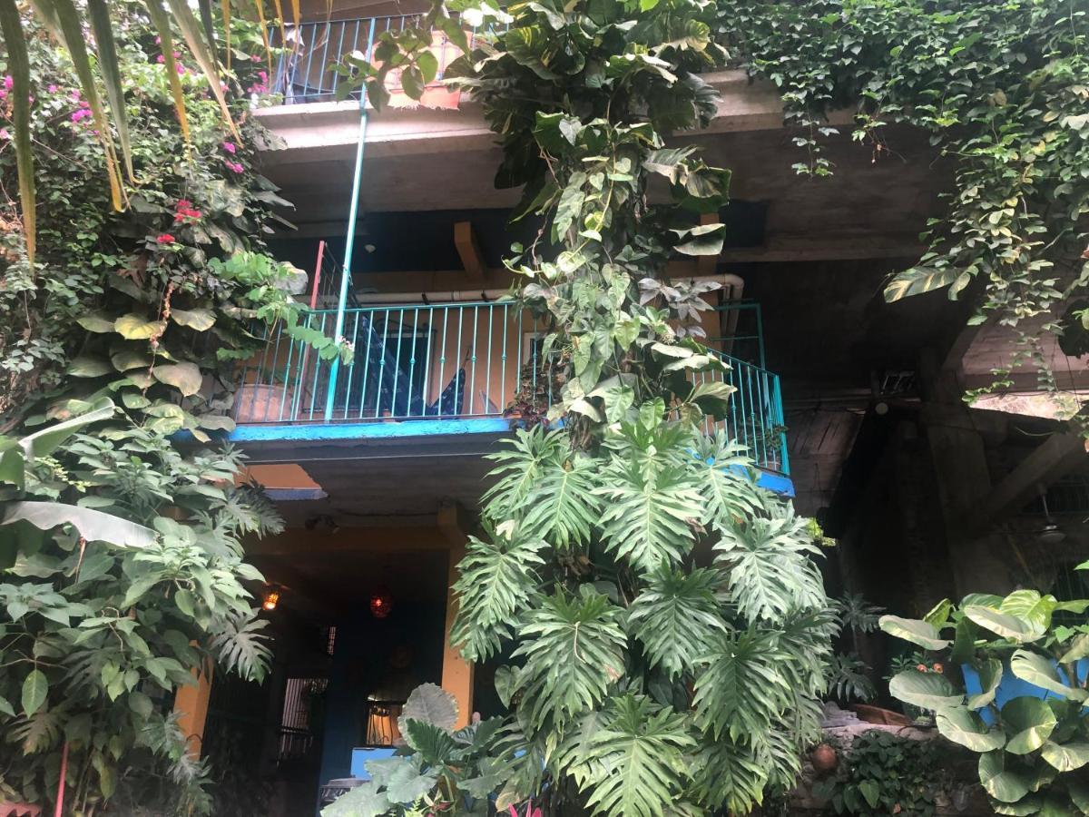 Casa Cereza Apartments Puerto Vallarta Exteriör bild